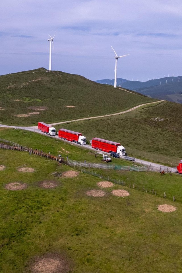 Compraventa y transporte de animales vivos en España