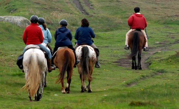Transporte Excursiones y eventos caballos en España