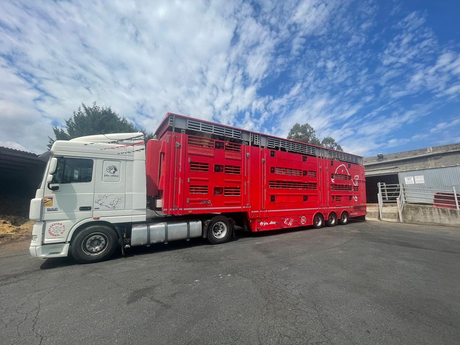 Amplia flota de vehículos para el transporte animal