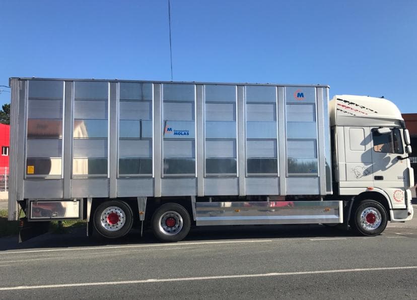 Amplia flota de vehículos para el transporte animal