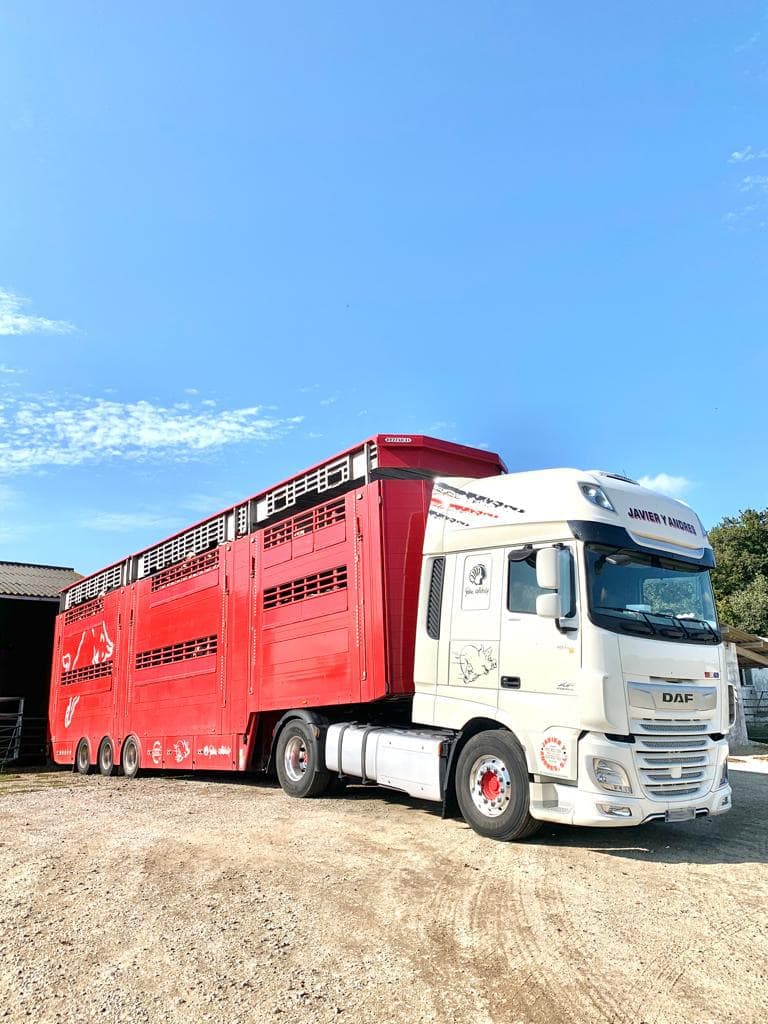 Amplia flota de vehículos para el transporte animal