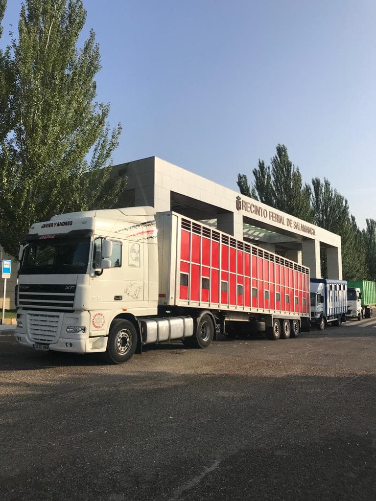 Amplia flota de vehículos para el transporte animal