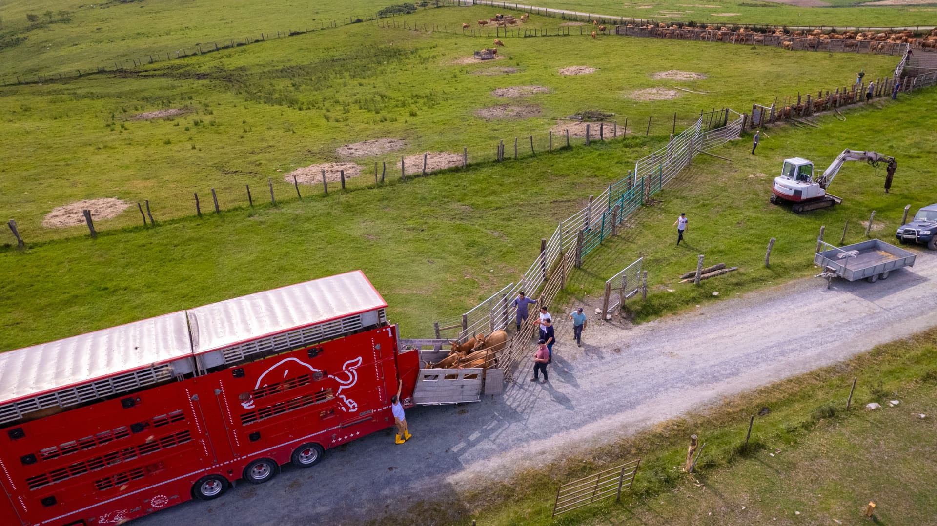 Transporte de animales vivos por España