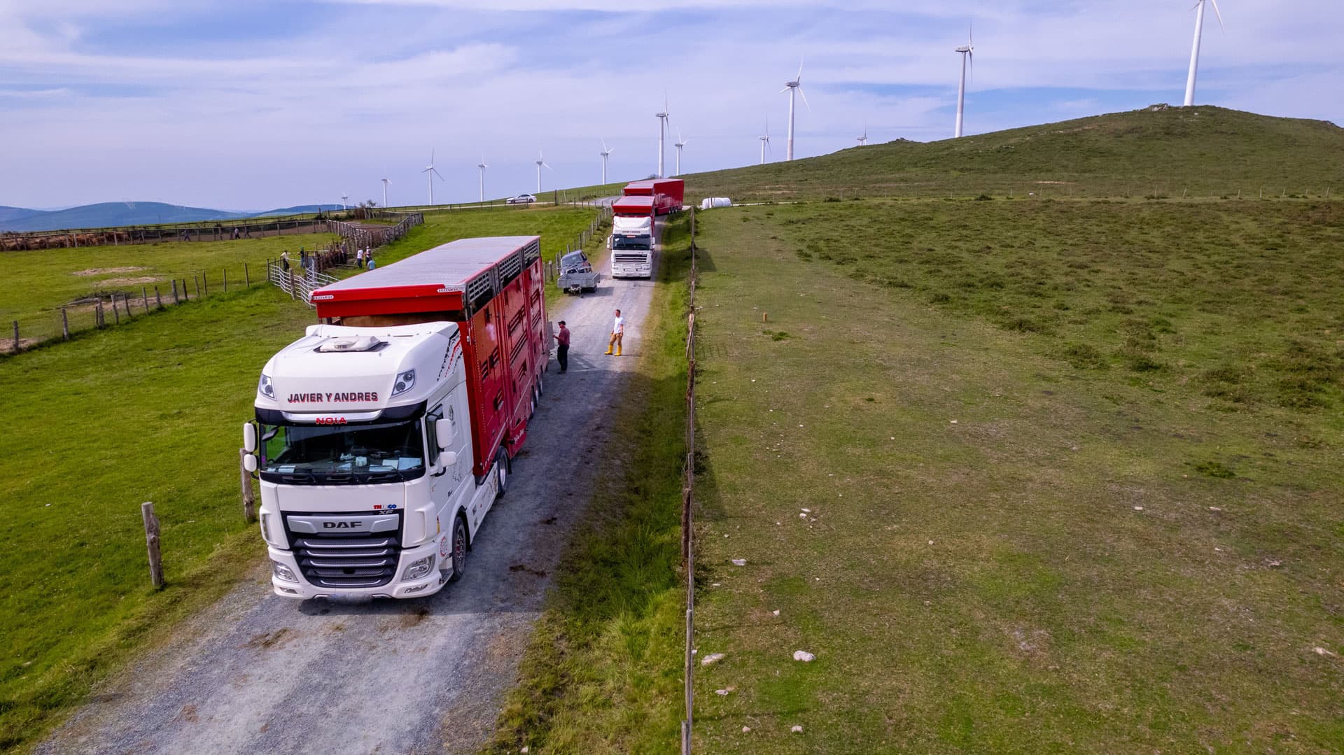 Transportar ganado por España