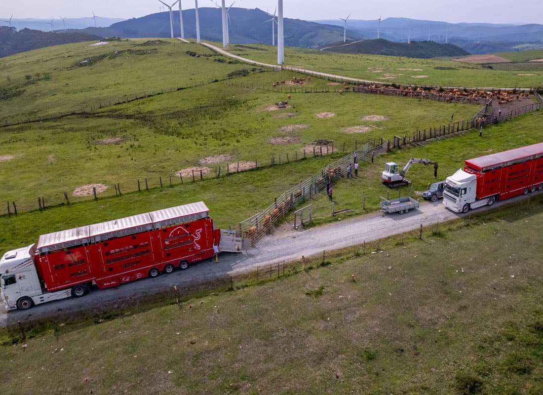 Transporte de animales con todas las garantías de bienestar animal