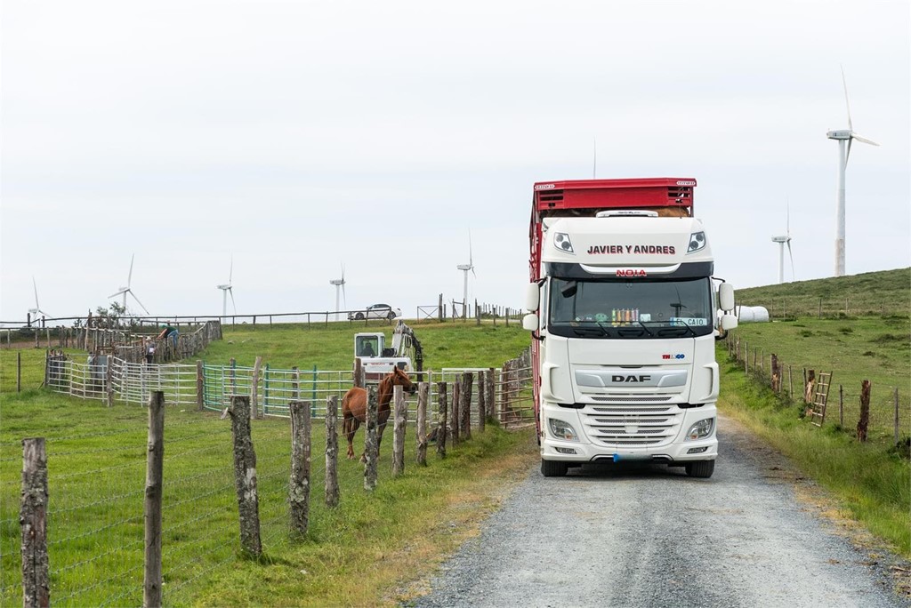 Transporte de animales vivos