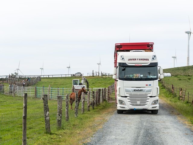 Transporte de animales vivos